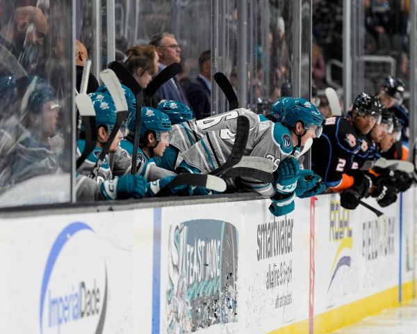 54977253390 bbf085883a k