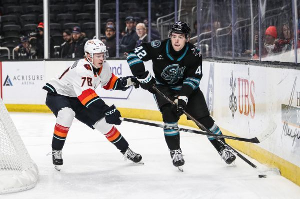 54991357589 237bc55a91 k