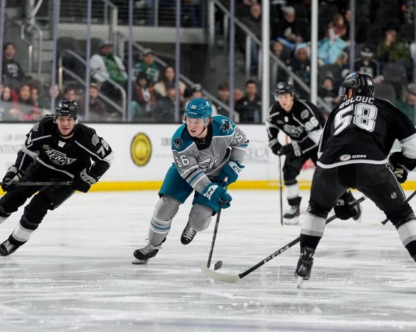 55009363580 89d4856c86 k