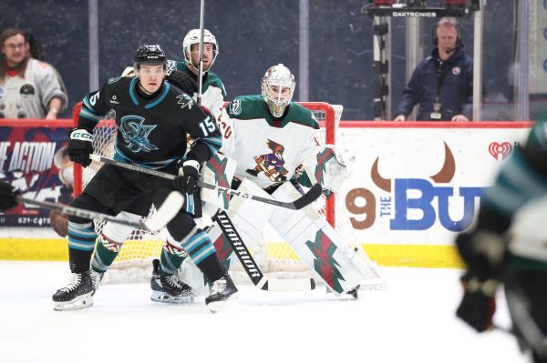 55046902056 c62759b390 k