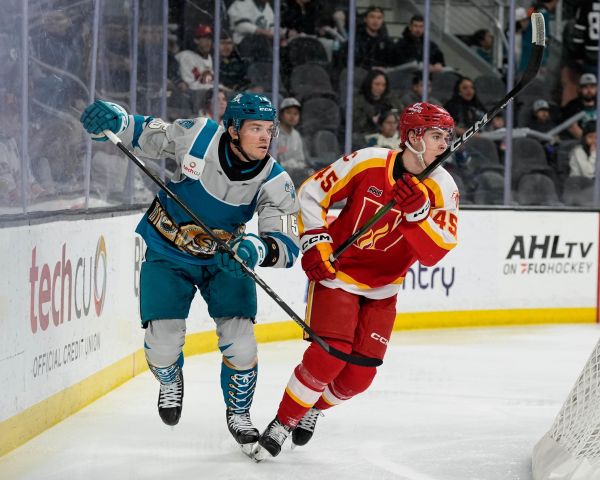 55071567388 6c1c100a6f k