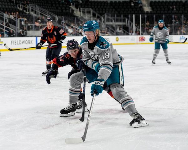 54873724071 6c84435b36 k