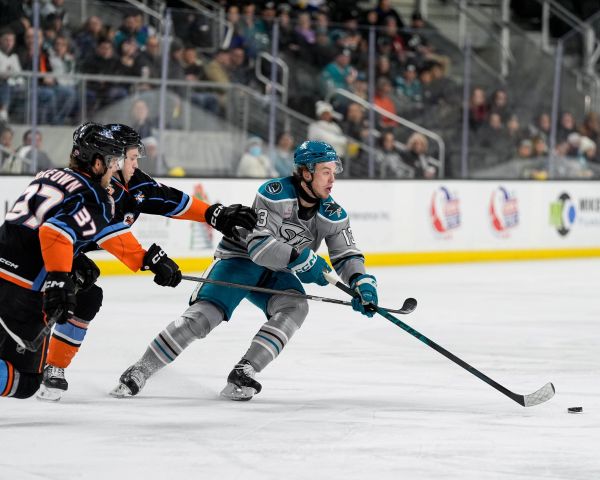 54977075258 15f20422e4 k