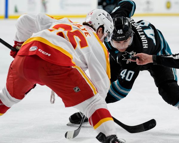 55108009502 43aa70fe2a k