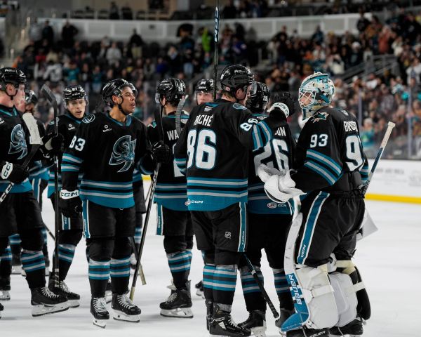 55122095808 83a58e6d66 k