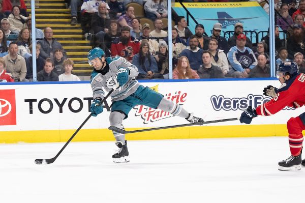 55132203172 741afaf87d k