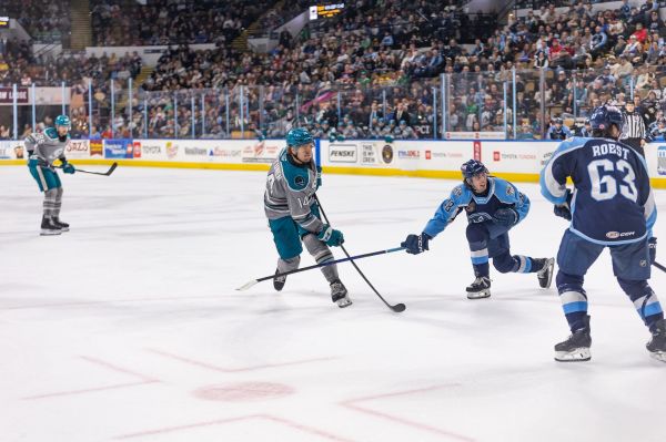 55135065128 a5d4d21dee k