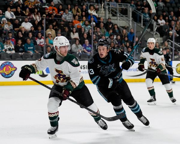 55121733191 68f849312c k