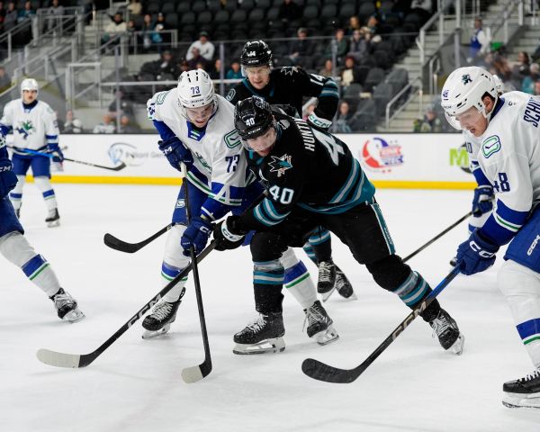 54939423935 c3400ed070 k