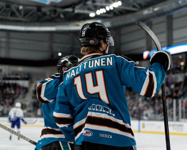 55160051322 33f4737633 k