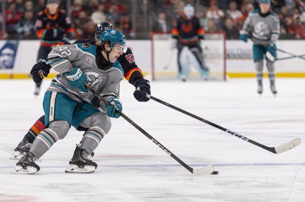 55174606504 e2fd508212 k