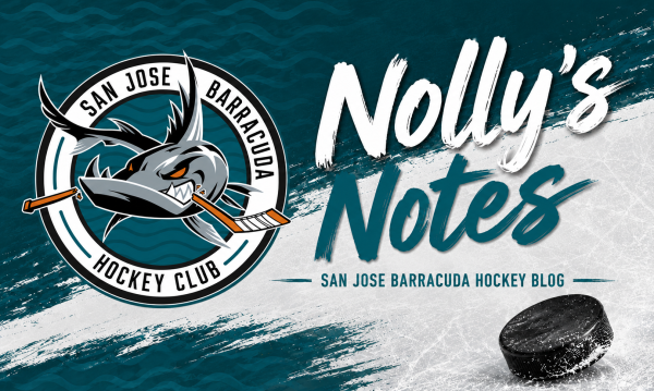 Nollys Notes