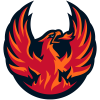 vs. Firebirds