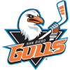 @ Gulls